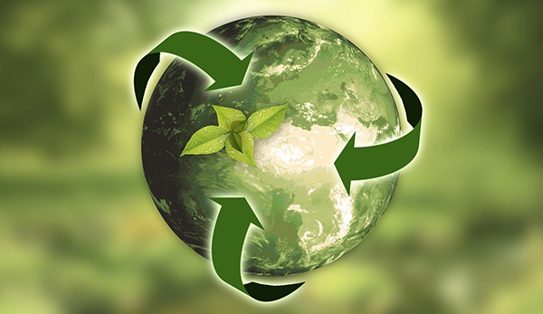 Why going green is good for business - With the world in a state of transformation, sustainability has become an increasingly important issue. South African companies are urging themselves to act, and the good news is that businesses can make a major impact.