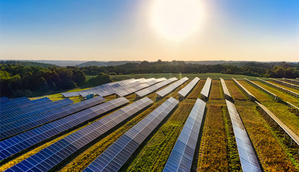 Agriculture meets Solar Power - Agriculture plays a major part in our economy, livelihood, and the environment.  Solar technology along with traditional farming holds numerous benefits and enables farms to become self-sustaining, increasing crop yields and reducing electricity and water consumption.  It is the future, using solar technology together with traditional farming.